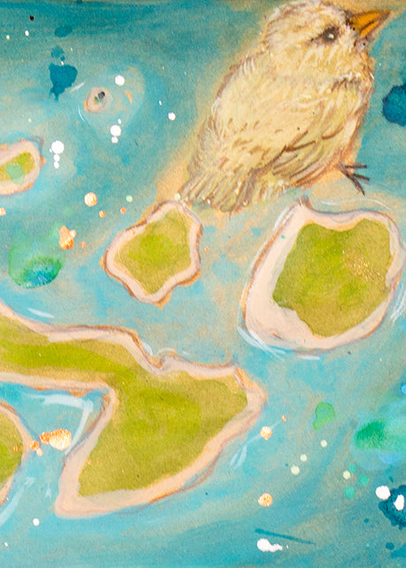 hand painted cork yoga mat map of the galapagos  with finches close up woodpecker finch